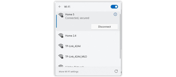 Check your SSID on Windows