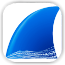 Wireshark  logo